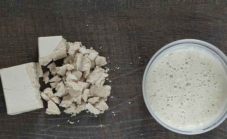 Дрожжи прессованные и закваска с дикими дрожжами